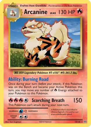Arcanine 18/108 - XY  Evolutions
