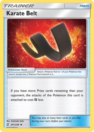 Karate Belt 201/236 - SM  Unified Minds