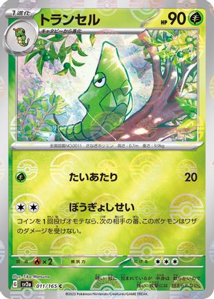 Metapod (Poke Ball Pattern) (011/165) - SV2a Pokemon Card 151 Holofoil