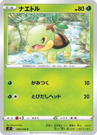 Turtwig (006/100) - S9 Star Birth
