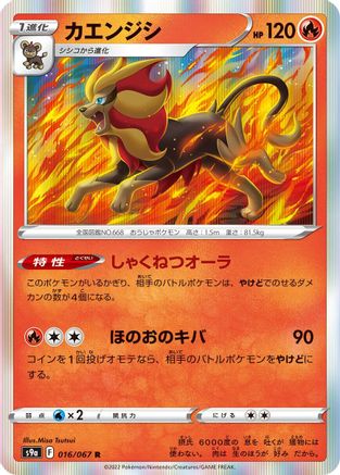 Pyroar (016/067) - S9a Battle Region Holofoil