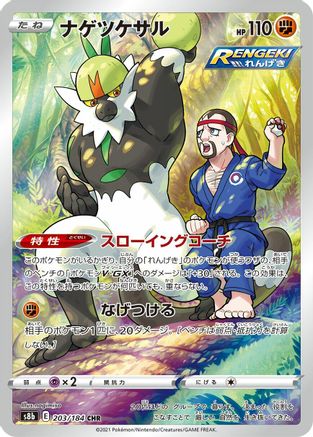 Passimian - 203/184 (203/184) - S8b VMAX Climax Holofoil