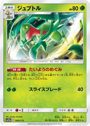 Grovyle (009/173) - SM12a TAG TEAM GX Tag All Stars