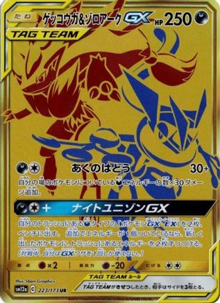 Greninja & Zoroark GX - 223/173 (223/173) - SM12a TAG TEAM GX Tag All Stars Holofoil