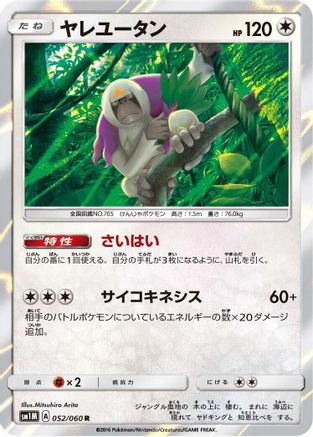 Oranguru (052/060) - SM1M Collection Moon