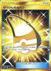 Adventure Bag - 062/050 (062/050) - SM7b Fairy Rise