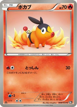 Tepig (008/053) - BW1 Black Collection