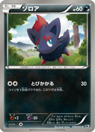Zorua (036/053) - BW1 White Collection