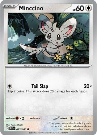 Minccino - 077/086 77 - SV Black Bolt Reverse Holofoil
