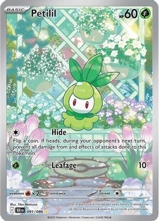 Petilil - 091/086 91 - SV Black Bolt Holofoil