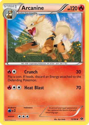 Arcanine (13) 13/99 - Next Destinies Reverse Holofoil