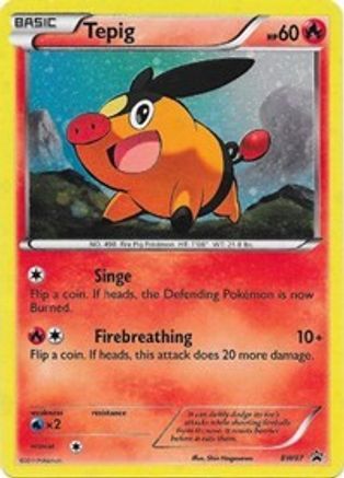 Tepig - BW07 BW07/101 - Black and White Promos Holofoil
